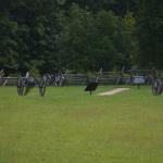 2017OTRA-1_882 (August 27, 2017)